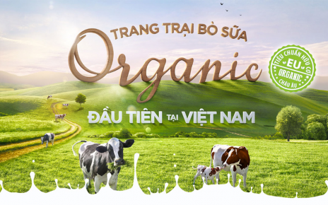 chiến lược cạnh tranh của Vinamilk