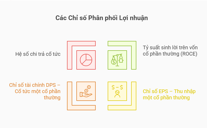 Các chỉ số tài chính về hiệu quả hoạt động doanh nghiệp
