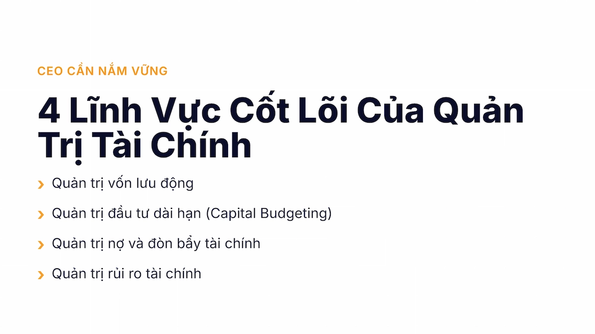 Các loại quản trị tài chính phổ biến
