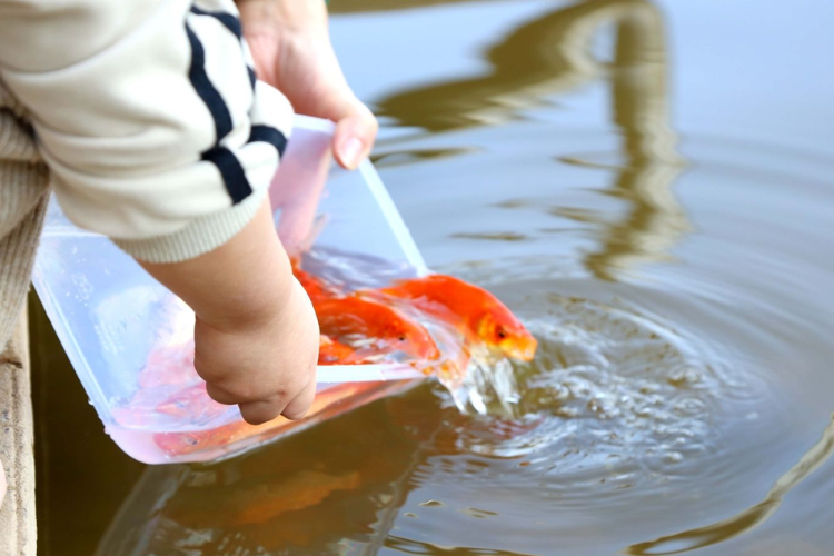 Bài cúng ông Công ông Táo năm 2026