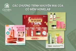 Các chương trình khuyến mại của Cỏ Mềm Homelab