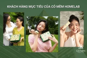 Khách hàng mục tiêu trong chiến lược marketing của Cỏ Mềm Homelab
