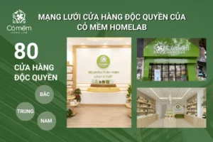 Hệ thống cửa hàng Cỏ Mềm phân phối rộng khắp từ Bắc vào Nam