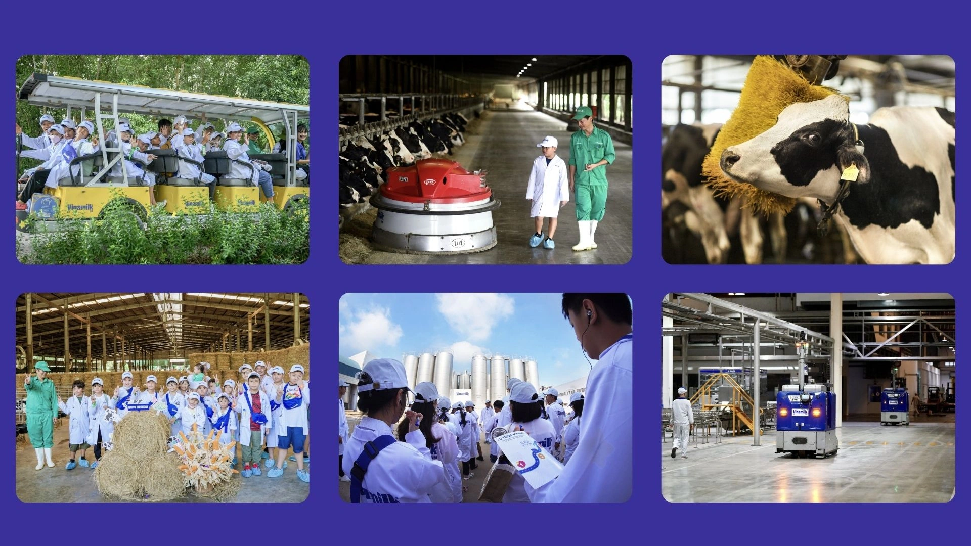 Chiến dịch “Vinamilk Green Farm” – Minh bạch nguồn gốc và xây dựng niềm tin