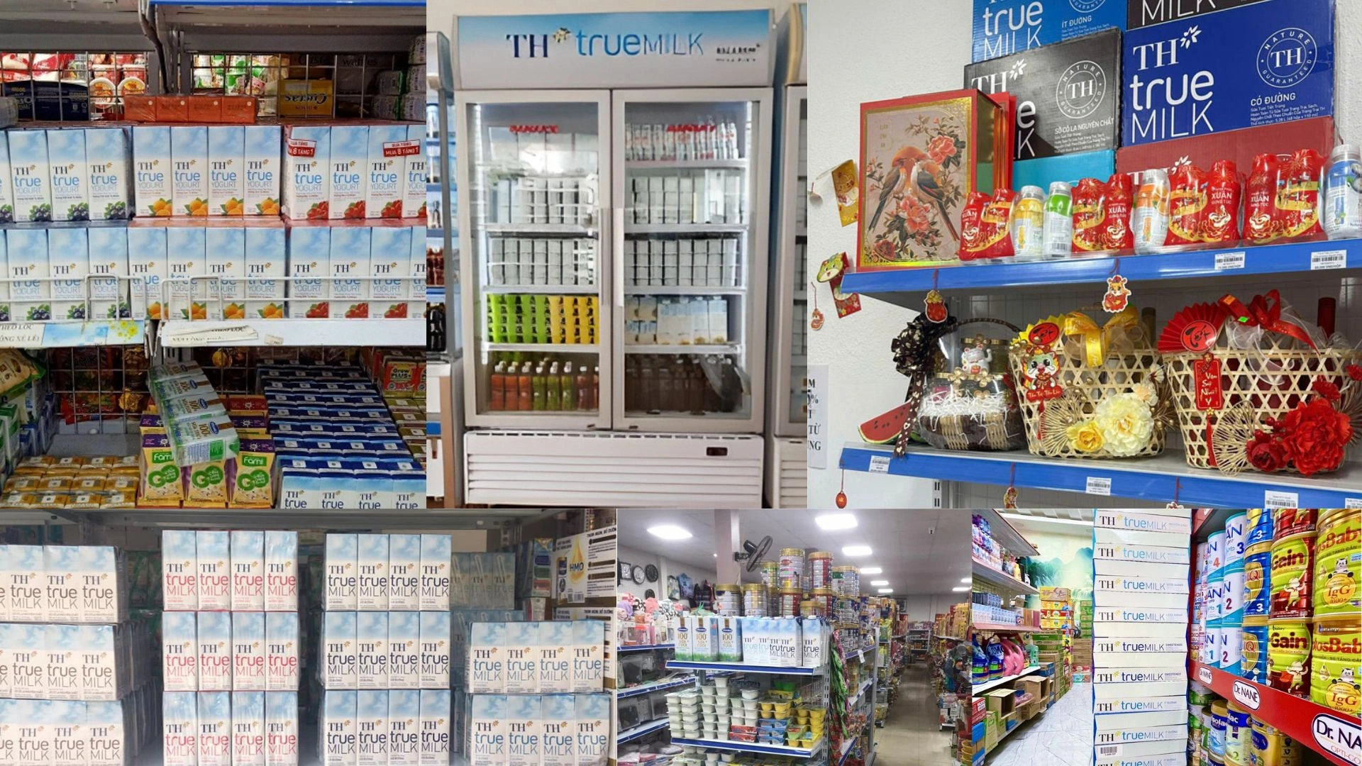 Kênh phân phối truyền thống của TH True Milk