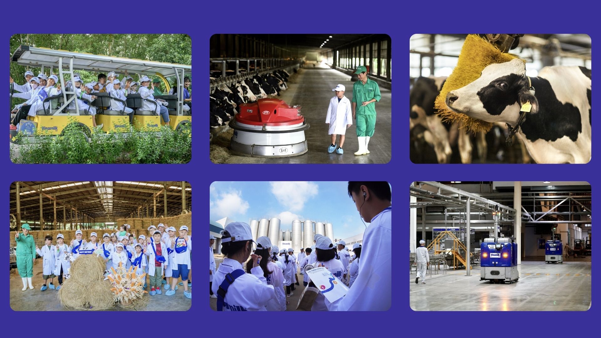 Chuyến đi tham quan trang trại Green Farm của các em học sinh