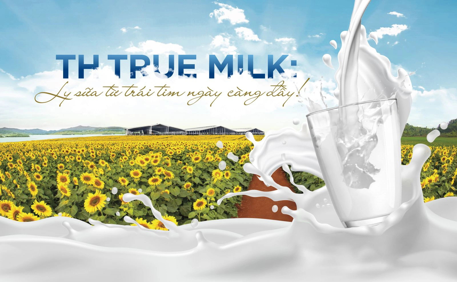 Chiến lược marketing của TH True Milk triển khai nhất quán theo định vị "sữa sạch"