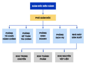 Cơ cáu tổ chức của Unilever