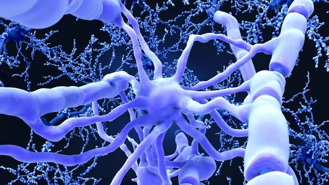 Càng luyện tập nhiều, lớp myelin càng dày, thúc đẩy khả năng xử lý thông tin của não bộ